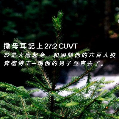 Picture 02 - 撒 母 耳 記 上 27:2 CUVT - 於 是 大 衛 起 身 ， 和 跟 隨 他 的 - Bible Verse Picture