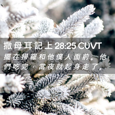 Picture 02 - 撒 母 耳 記 上 28:25 CUVT - 擺 在 掃 羅 和 他 僕 人 面 前 。 他 - Bible Verse Picture