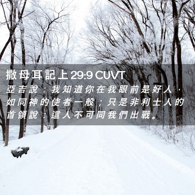 Picture 02 - 撒 母 耳 記 上 29:9 CUVT - 亞 吉 說 ： 我 知 道 你 在 我 眼 前 - Bible Verse Picture