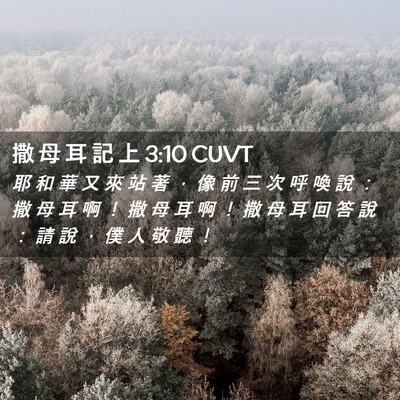 Picture 02 - 撒 母 耳 記 上 3:10 CUVT - 耶 和 華 又 來 站 著 ， 像 前 三 次 - Bible Verse Picture