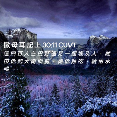 Picture 02 - 撒 母 耳 記 上 30:11 CUVT - 這 四 百 人 在 田 野 遇 見 一 個 埃 - Bible Verse Picture