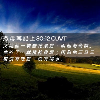 Picture 02 - 撒 母 耳 記 上 30:12 CUVT - 又 給 他 一 塊 無 花 果 餅 ， 兩 個 - Bible Verse Picture