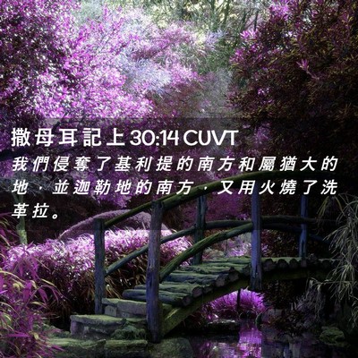 Picture 02 - 撒 母 耳 記 上 30:14 CUVT - 我 們 侵 奪 了 基 利 提 的 南 方 和 - Bible Verse Picture
