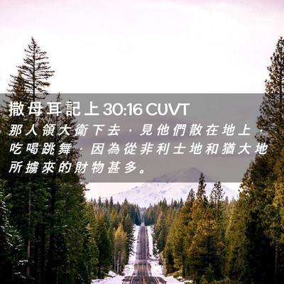Picture 02 - 撒 母 耳 記 上 30:16 CUVT - 那 人 領 大 衛 下 去 ， 見 他 們 散 - Bible Verse Picture