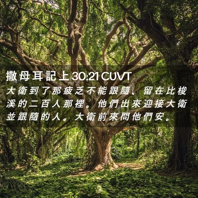 Picture 02 - 撒 母 耳 記 上 30:21 CUVT - 大 衛 到 了 那 疲 乏 不 能 跟 隨 、 - Bible Verse Picture
