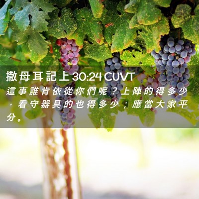 Picture 02 - 撒 母 耳 記 上 30:24 CUVT - 這 事 誰 肯 依 從 你 們 呢 ？ 上 陣 - Bible Verse Picture