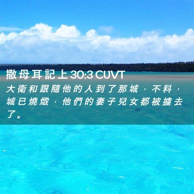 Picture 02 - 撒 母 耳 記 上 30:3 CUVT - 大 衛 和 跟 隨 他 的 人 到 了 那 城 - Bible Verse Picture