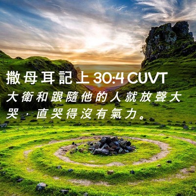 Picture 02 - 撒 母 耳 記 上 30:4 CUVT - 大 衛 和 跟 隨 他 的 人 就 放 聲 大 - Bible Verse Picture