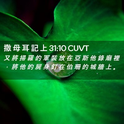 Picture 02 - 撒 母 耳 記 上 31:10 CUVT - 又 將 掃 羅 的 軍 裝 放 在 亞 斯 他 - Bible Verse Picture