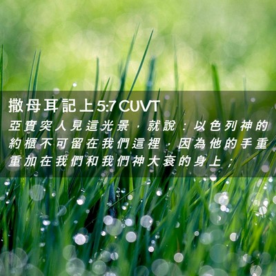 Picture 02 - 撒 母 耳 記 上 5:7 CUVT - 亞 實 突 人 見 這 光 景 ， 就 說 ： - Bible Verse Picture