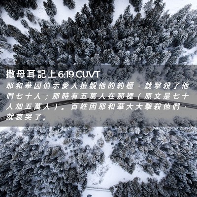 Picture 02 - 撒 母 耳 記 上 6:19 CUVT - 耶 和 華 因 伯 示 麥 人 擅 觀 他 的 - Bible Verse Picture