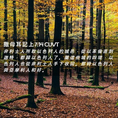 Picture 02 - 撒 母 耳 記 上 7:14 CUVT - 非 利 士 人 所 取 以 色 列 人 的 城 - Bible Verse Picture