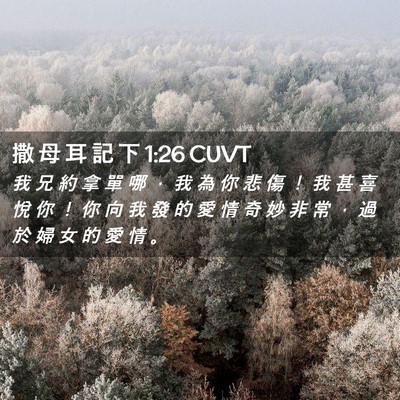 Picture 02 - 撒 母 耳 記 下 1:26 CUVT - 我 兄 約 拿 單 哪 ， 我 為 你 悲 傷 - Bible Verse Picture