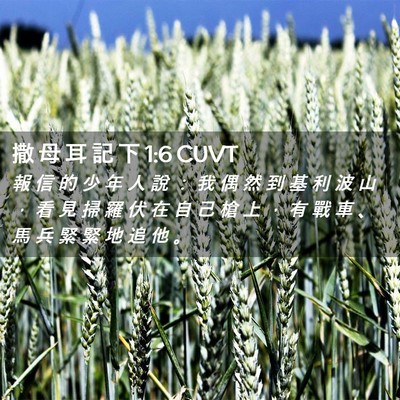 Picture 02 - 撒 母 耳 記 下 1:6 CUVT - 報 信 的 少 年 人 說 ： 我 偶 然 到 - Bible Verse Picture