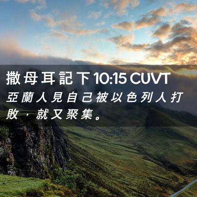 Picture 02 - 撒 母 耳 記 下 10:15 CUVT - 亞 蘭 人 見 自 己 被 以 色 列 人 打 - Bible Verse Picture