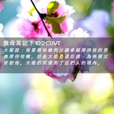 Picture 02 - 撒 母 耳 記 下 10:2 CUVT - 大 衛 說 ： 我 要 照 哈 嫩 的 父 親 - Bible Verse Picture