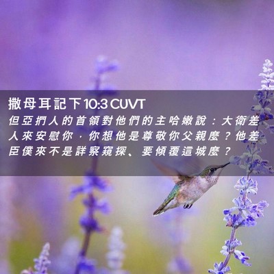 Picture 02 - 撒 母 耳 記 下 10:3 CUVT - 但 亞 捫 人 的 首 領 對 他 們 的 主 - Bible Verse Picture