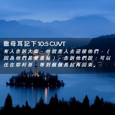 Picture 02 - 撒 母 耳 記 下 10:5 CUVT - 有 人 告 訴 大 衛 ， 他 就 差 人 去 - Bible Verse Picture