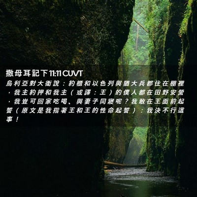 Picture 02 - 撒 母 耳 記 下 11:11 CUVT - 烏 利 亞 對 大 衛 說 ： 約 櫃 和 以 - Bible Verse Picture