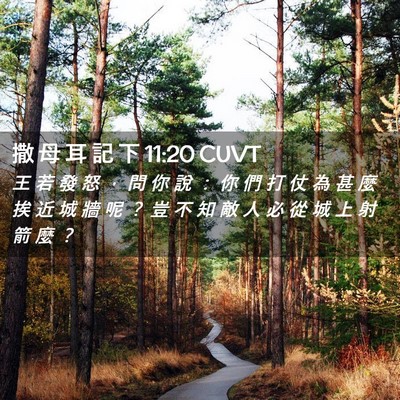 Picture 02 - 撒 母 耳 記 下 11:20 CUVT - 王 若 發 怒 ， 問 你 說 ： 你 們 打 - Bible Verse Picture