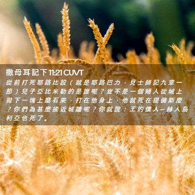 Picture 02 - 撒 母 耳 記 下 11:21 CUVT - 從 前 打 死 耶 路 比 設 （ 就 是 耶 - Bible Verse Picture