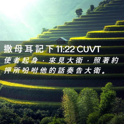 Picture 02 - 撒 母 耳 記 下 11:22 CUVT - 使 者 起 身 ， 來 見 大 衛 ， 照 著 - Bible Verse Picture