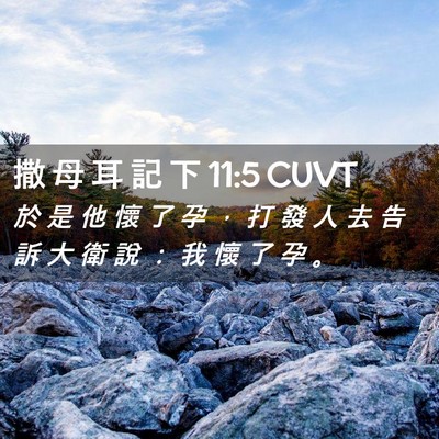 Picture 02 - 撒 母 耳 記 下 11:5 CUVT - 於 是 他 懷 了 孕 ， 打 發 人 去 告 - Bible Verse Picture