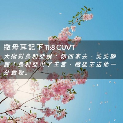 Picture 02 - 撒 母 耳 記 下 11:8 CUVT - 大 衛 對 烏 利 亞 說 ： 你 回 家 去 - Bible Verse Picture