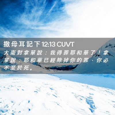 Picture 02 - 撒 母 耳 記 下 12:13 CUVT - 大 衛 對 拿 單 說 ： 我 得 罪 耶 和 - Bible Verse Picture