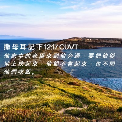 Picture 02 - 撒 母 耳 記 下 12:17 CUVT - 他 家 中 的 老 臣 來 到 他 旁 邊 ， - Bible Verse Picture