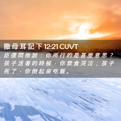 Picture 02 - 撒 母 耳 記 下 12:21 CUVT - 臣 僕 問 他 說 ： 你 所 行 的 是 甚 - Bible Verse Picture