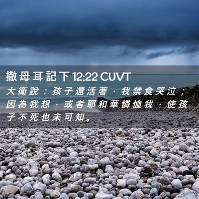 Picture 02 - 撒 母 耳 記 下 12:22 CUVT - 大 衛 說 ： 孩 子 還 活 著 ， 我 禁 - Bible Verse Picture