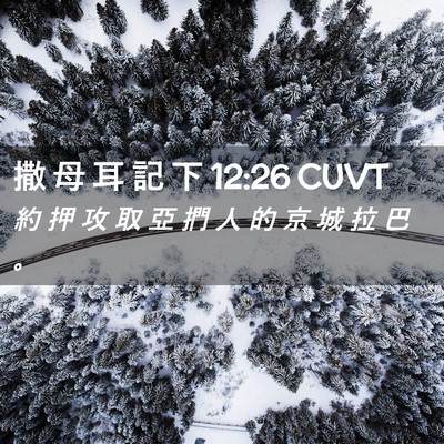 Picture 02 - 撒 母 耳 記 下 12:26 CUVT - 約 押 攻 取 亞 捫 人 的 京 城 拉 巴 - Bible Verse Picture