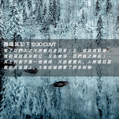 Picture 02 - 撒 母 耳 記 下 12:30 CUVT - 奪 了 亞 捫 人 之 王 所 戴 的 金 冠 - Bible Verse Picture