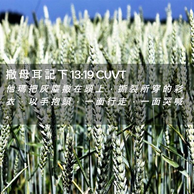 Picture 02 - 撒 母 耳 記 下 13:19 CUVT - 他 瑪 把 灰 塵 撒 在 頭 上 ， 撕 裂 - Bible Verse Picture