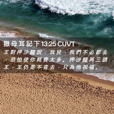 Picture 02 - 撒 母 耳 記 下 13:25 CUVT - 王 對 押 沙 龍 說 ： 我 兒 ， 我 們 - Bible Verse Picture