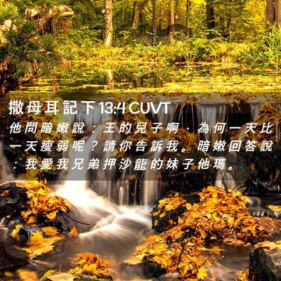 Picture 02 - 撒 母 耳 記 下 13:4 CUVT - 他 問 暗 嫩 說 ： 王 的 兒 子 啊 ， - Bible Verse Picture