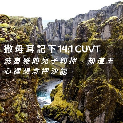 Picture 02 - 撒 母 耳 記 下 14:1 CUVT - 洗 魯 雅 的 兒 子 約 押 ， 知 道 王 - Bible Verse Picture
