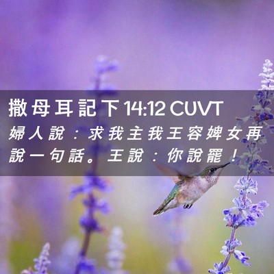 Picture 02 - 撒 母 耳 記 下 14:12 CUVT - 婦 人 說 ： 求 我 主 我 王 容 婢 女 - Bible Verse Picture