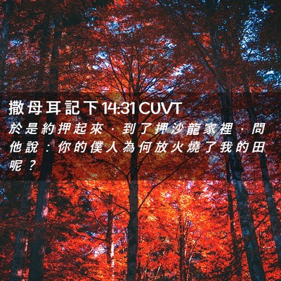 Picture 02 - 撒 母 耳 記 下 14:31 CUVT - 於 是 約 押 起 來 ， 到 了 押 沙 龍 - Bible Verse Picture