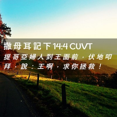 Picture 02 - 撒 母 耳 記 下 14:4 CUVT - 提 哥 亞 婦 人 到 王 面 前 ， 伏 地 - Bible Verse Picture