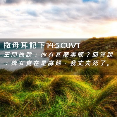 Picture 02 - 撒 母 耳 記 下 14:5 CUVT - 王 問 他 說 ： 你 有 甚 麼 事 呢 ？ - Bible Verse Picture