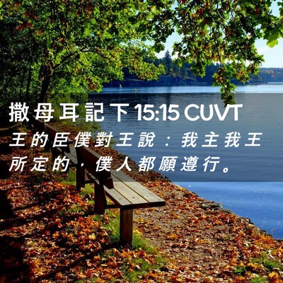 Picture 02 - 撒 母 耳 記 下 15:15 CUVT - 王 的 臣 僕 對 王 說 ： 我 主 我 王 - Bible Verse Picture