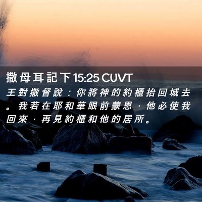 Picture 02 - 撒 母 耳 記 下 15:25 CUVT - 王 對 撒 督 說 ： 你 將 神 的 約 櫃 - Bible Verse Picture