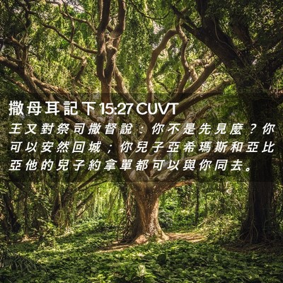 Picture 02 - 撒 母 耳 記 下 15:27 CUVT - 王 又 對 祭 司 撒 督 說 ： 你 不 是 - Bible Verse Picture