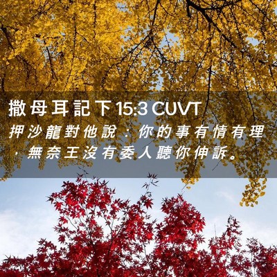 Picture 02 - 撒 母 耳 記 下 15:3 CUVT - 押 沙 龍 對 他 說 ： 你 的 事 有 情 - Bible Verse Picture