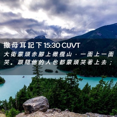 Picture 02 - 撒 母 耳 記 下 15:30 CUVT - 大 衛 蒙 頭 赤 腳 上 橄 欖 山 ， 一 - Bible Verse Picture