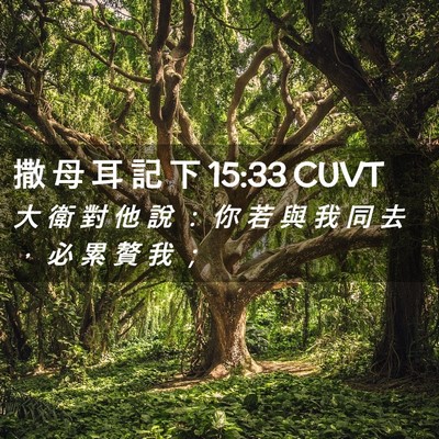 Picture 02 - 撒 母 耳 記 下 15:33 CUVT - 大 衛 對 他 說 ： 你 若 與 我 同 去 - Bible Verse Picture