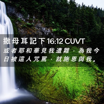 Picture 02 - 撒 母 耳 記 下 16:12 CUVT - 或 者 耶 和 華 見 我 遭 難 ， 為 我 - Bible Verse Picture