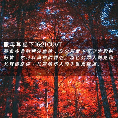 Picture 02 - 撒 母 耳 記 下 16:21 CUVT - 亞 希 多 弗 對 押 沙 龍 說 ： 你 父 - Bible Verse Picture